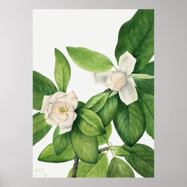 Póster Flores 3 (Frente)