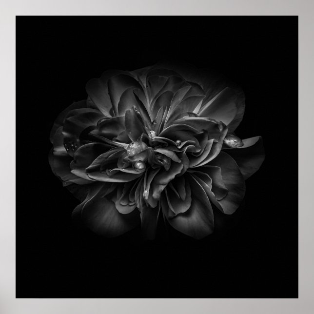 Póster Flores 67 BW (Frente)