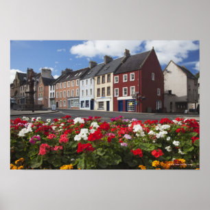 Póster Flores A Lo Largo De Una Calle En Una Zona Residen