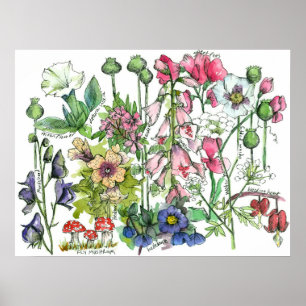 Póster Flores acuáticas de hierbas venenosas