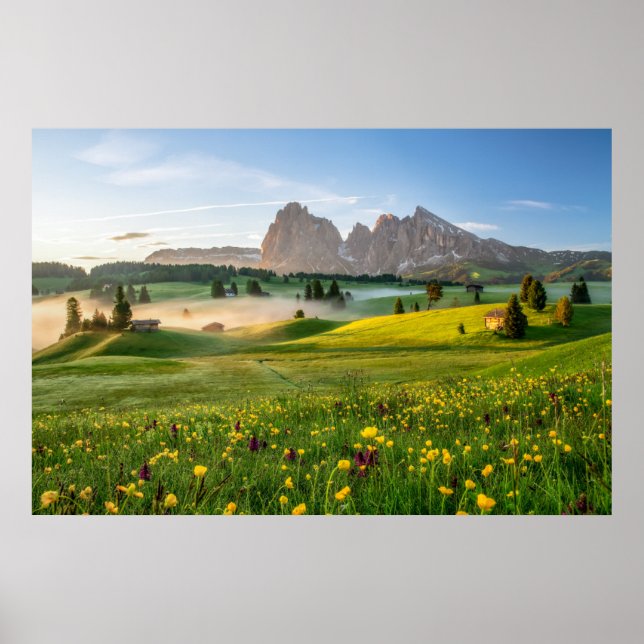 Póster Flores | Alpe de primavera de Siusi Langkofel (Frente)