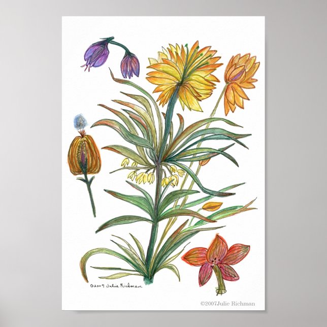 Póster Flores amarillas doradas 52 Poster-A (Frente)