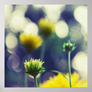 Póster Flores amarillas en bokeh con luz solar