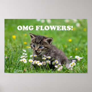 Póster Flores amorosas de gatito lindo