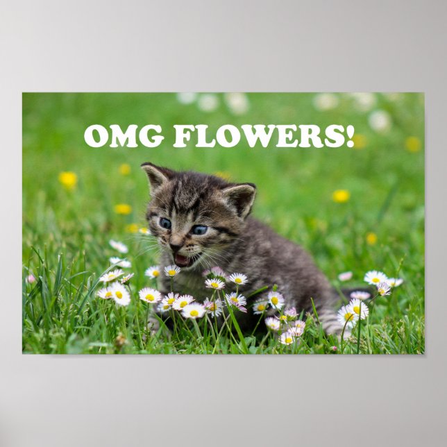 Póster Flores amorosas de gatito lindo (Frente)