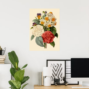 Póster Flores antiguas, camelias y narcisos, Redoute