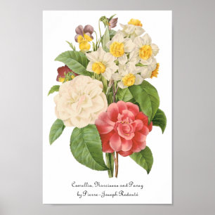 Póster Flores antiguas florales de Camelia Daffodil por R