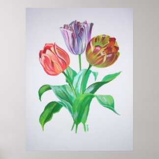 Póster Flores artísticas coloridas del trío de los tulipa