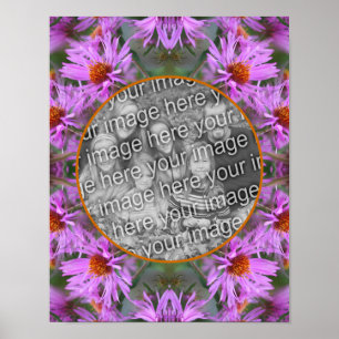 Póster Flores Aster rosadas de Nueva Inglaterra agregan t