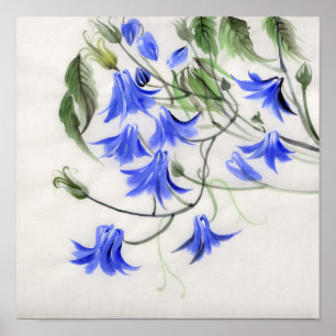 Póster Flores azules