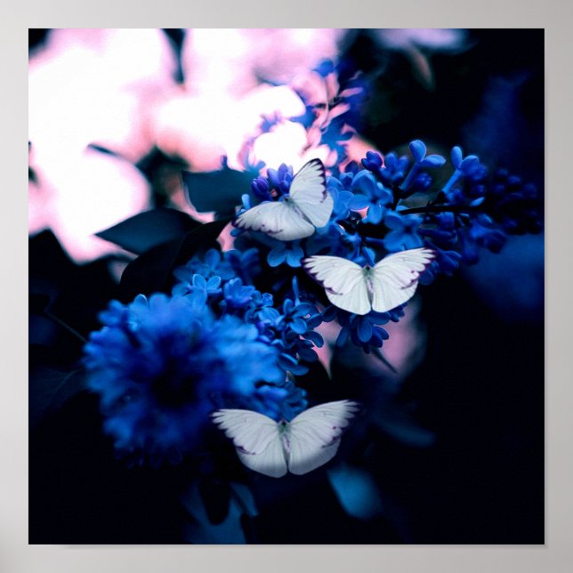 Póster Flores azules, mariposa (Frente)
