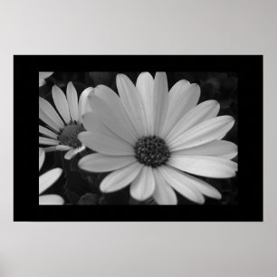 Póster Flores B&W