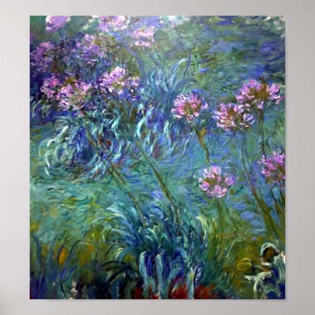 Póster Flores Bellas Artes de Agapanthus artísticas (Frente)