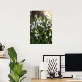 Póster Flores blancas de copo de nieve de verano