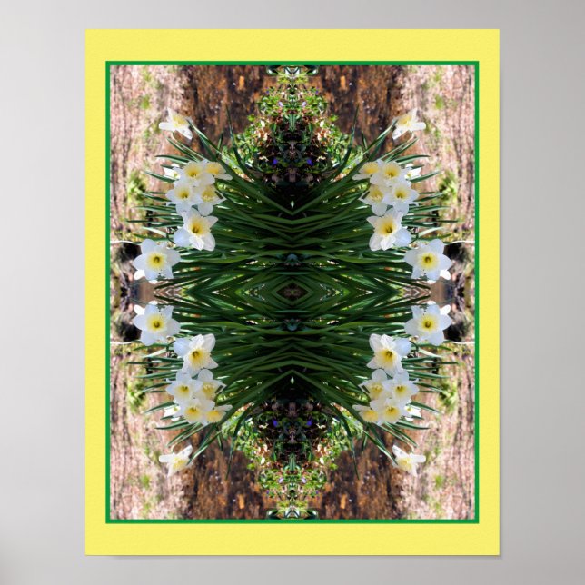 Póster Flores Blancas De Daffodil Por Brook Mirror Resume (Frente)
