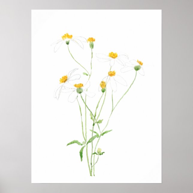 Póster flores blancas de jack negro 2 (Frente)