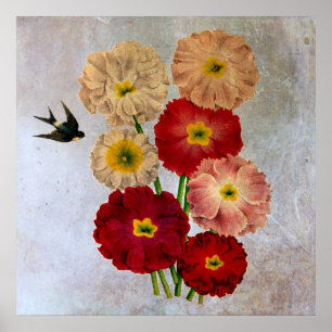 Póster Flores Botánicas Antiguas Golondrina Pájaro Azul R