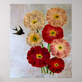 Póster Flores Botánicas Antiguas Golondrina Pájaro Azul R