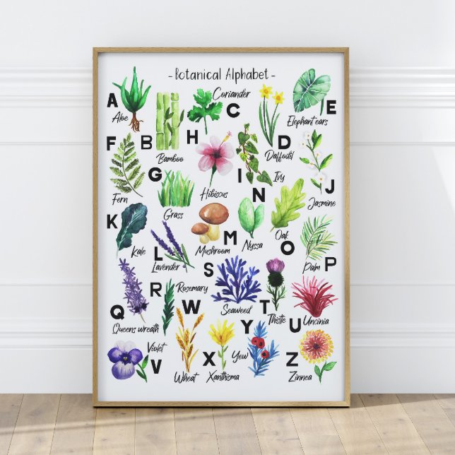 Póster Flores Botánicas Cutas Alfabetización Nursera Bebé (Subido por el creador)
