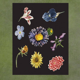 Póster Flores botánicas oscuras sobre negro
