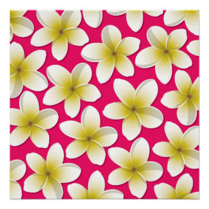 Póster Flores brillantes de Frangipani/ Plumeria