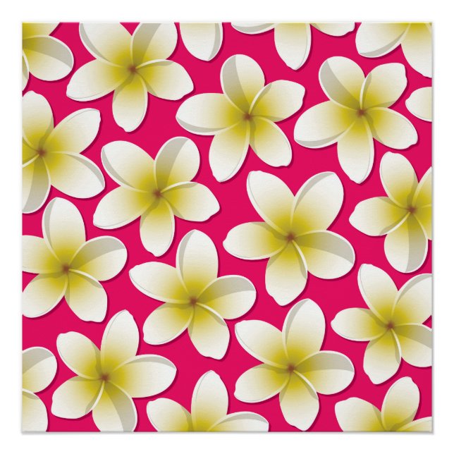 Póster Flores brillantes de Frangipani/ Plumeria (Anverso)