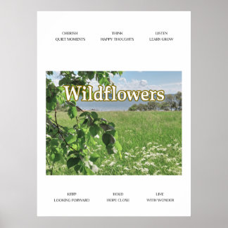Póster Flores campestres