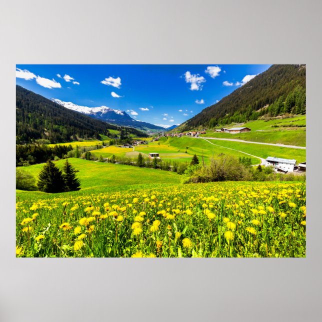 Póster Flores | Cantón Dandelion de Grisons, Suiza (Frente)