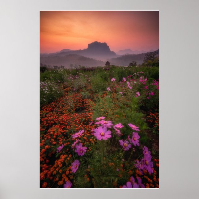Póster Flores | Chiang Dao, Chiang Mai, Tailandia (Frente)