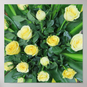 Póster flores coloreadas+, jardín+ gnomo,