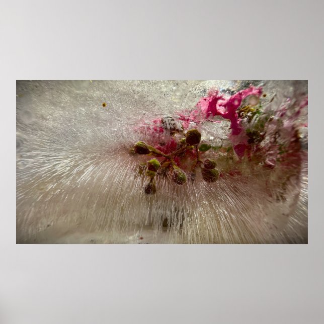 Póster Flores congeladas,  (Frente)