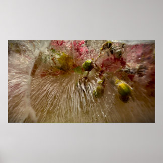 Póster Flores congeladas,