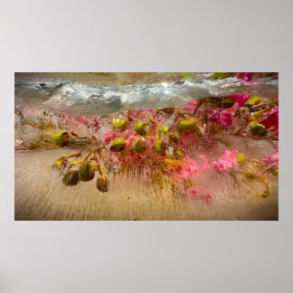 Póster Flores congeladas,