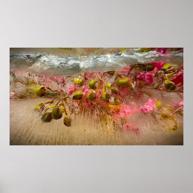 Póster Flores congeladas,  (Frente)