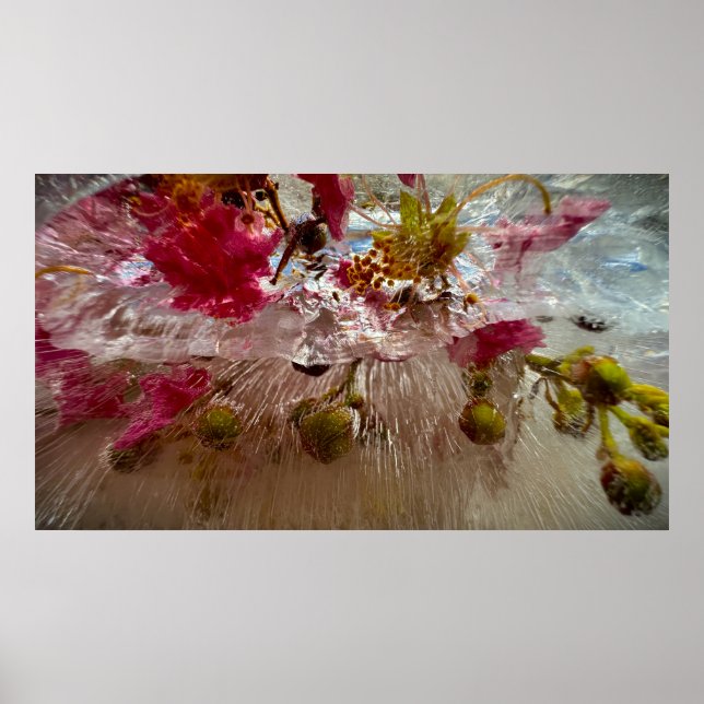 Póster Flores congeladas,  (Frente)