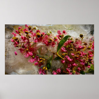 Póster Flores congeladas,