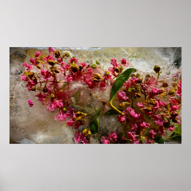Póster Flores congeladas,  (Frente)