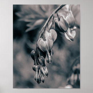 Póster Flores Corazón Sangrante en Blanco y Negro, Románt