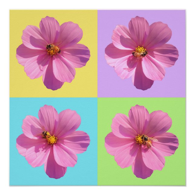 Póster Flores Cosmos de cuatro paneles con abeja de miel (Anverso)