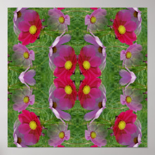 Póster Flores Cosmos Naturaleza Abstracta