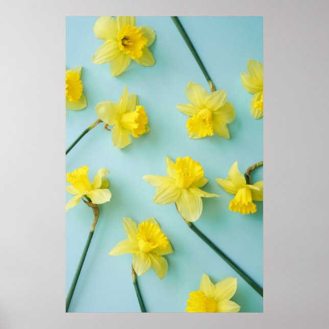 Póster Flores | Daffoditos amarillos (Frente)