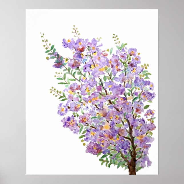 Póster flores de acuarela de músculo violáceo (Frente)