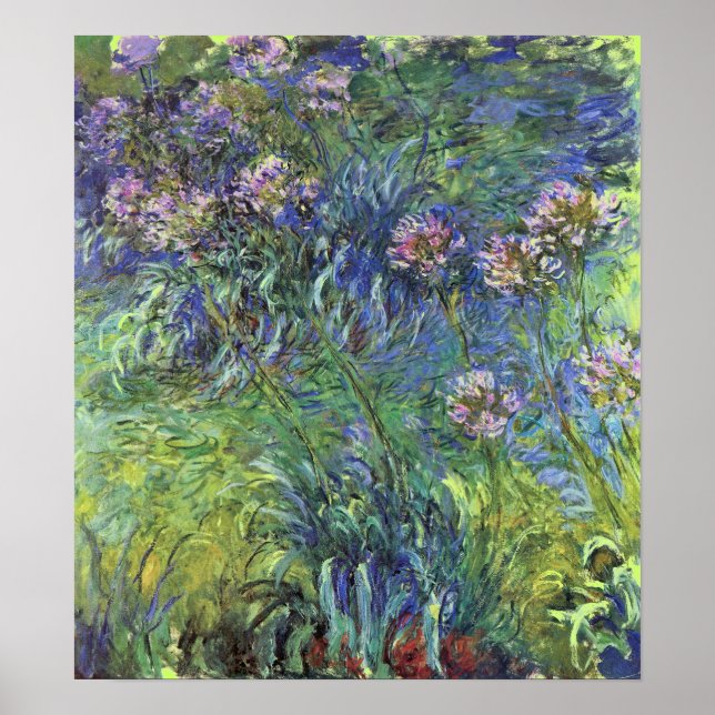 Póster Flores de Agapanthus por Claude Monet (Frente)