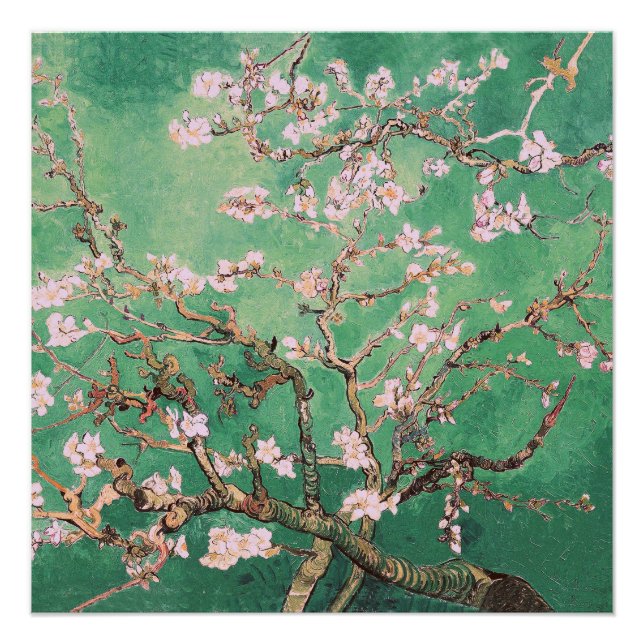 Póster Flores de almendra de Van Gogh verde (Anverso)