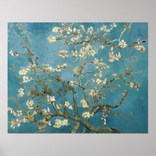 Póster Flores de almendra por Vincent van Gogh