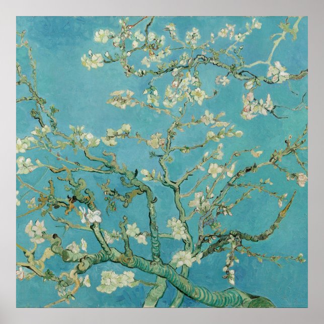Póster Flores de almendra por Vincent van Gogh (Frente)