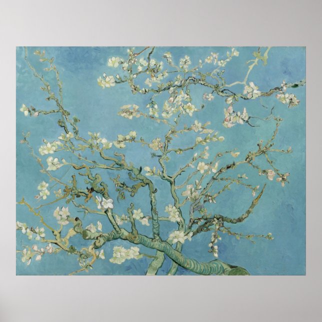 Póster Flores de almendra por Vincent Van Gogh (Frente)