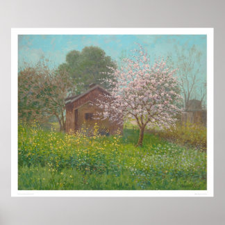 Póster Flores de almendras y mostaza silvestre (1152)