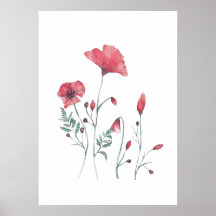 Flores de amapola de color agua