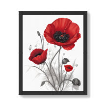 Flores de amapola rojas